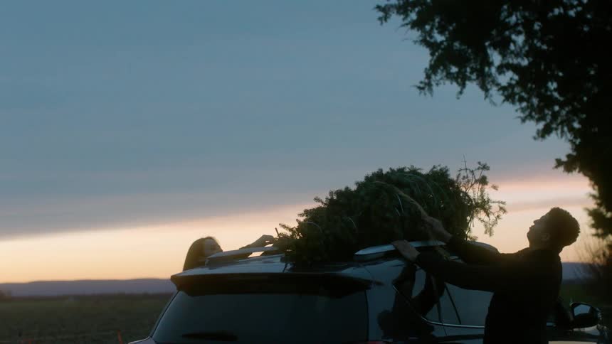 Two people tie a christmas tree to the roof of their vehicle at dawn