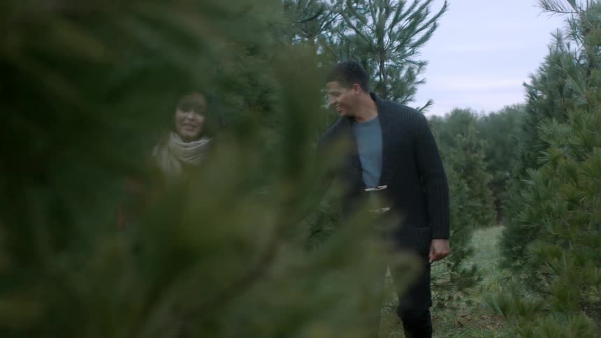 A man and woman look at trees on a farm