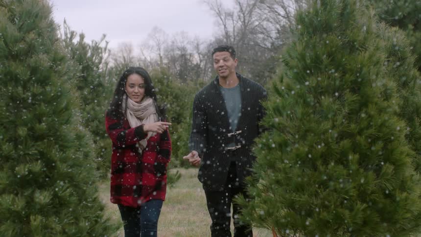 A man and woman look at christmas trees in a field as it snows