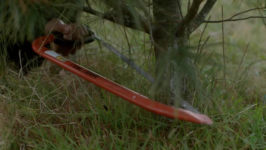 A man is using a handsaw to cut a christmas tree