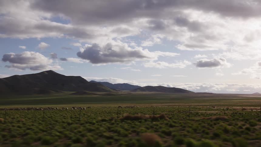 A slow-motion driving shot past a large herd of sheep grazing in a vast, green rural valley with mountains in the distance