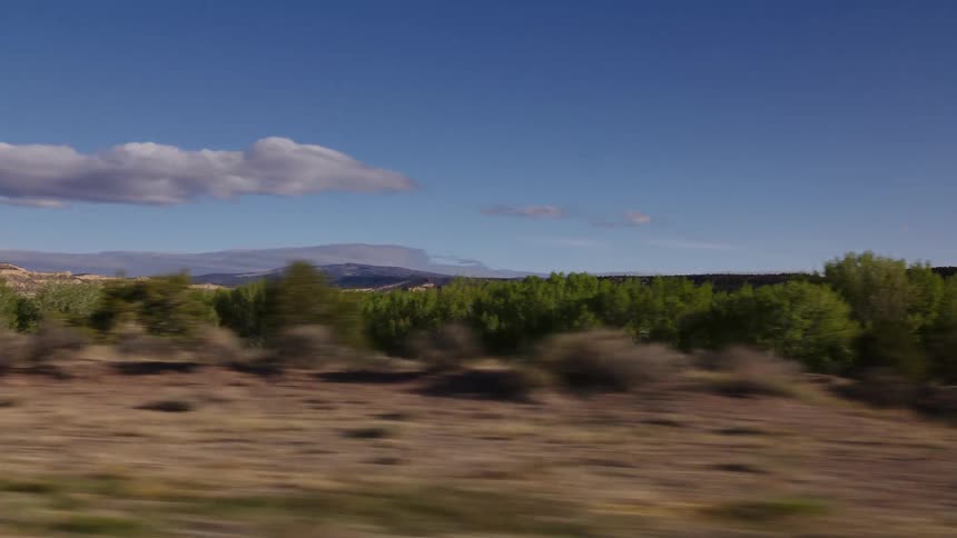 A scenic driving shot passes a vibrant green oasis of trees set against an arid landscape with distant mesas in the American Southwest
