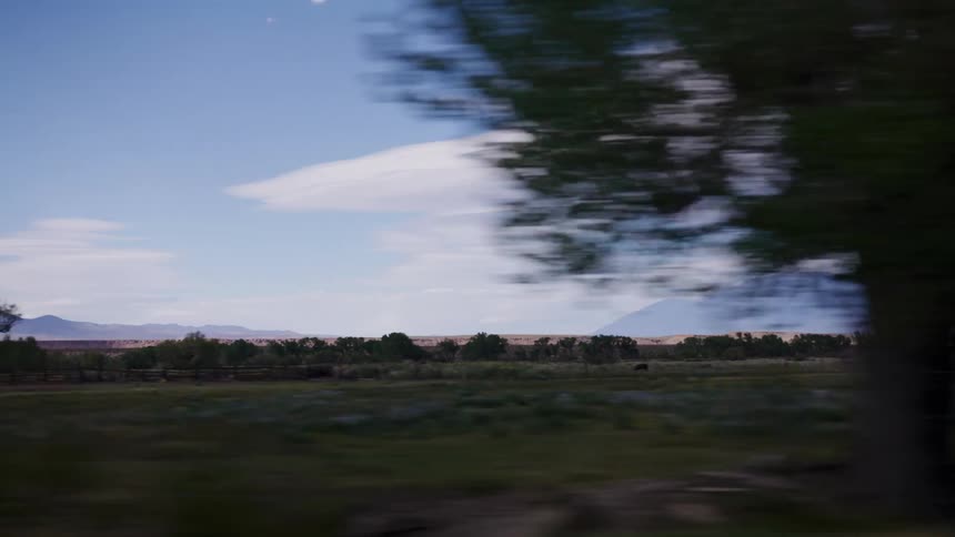 Driving past a tranquil pastoral landscape with distant mountains, viewed through a blur of silhouetted trees
