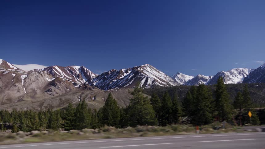 A scenic drive along a highway reveals majestic snow-capped mountains and a pine forest under a clear blue sky