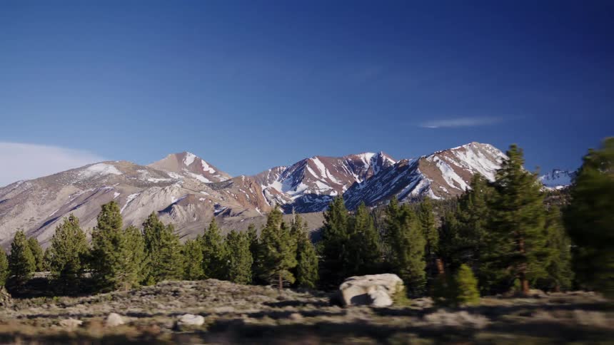 A slow-motion driving shot past majestic, snow-capped mountains and a pine forest under a clear blue sky