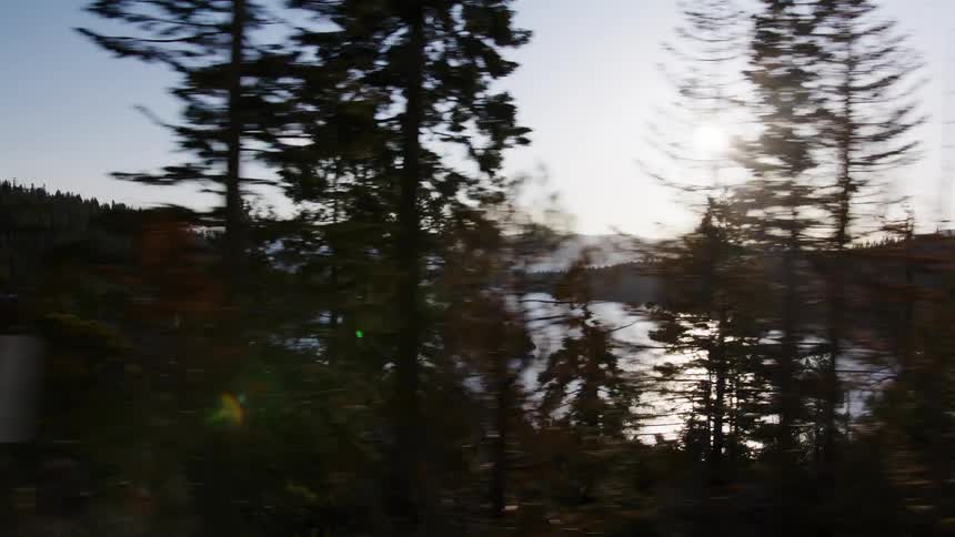 A scenic drive along a mountain road overlooking a shimmering lake, with the sun flaring through passing pine trees