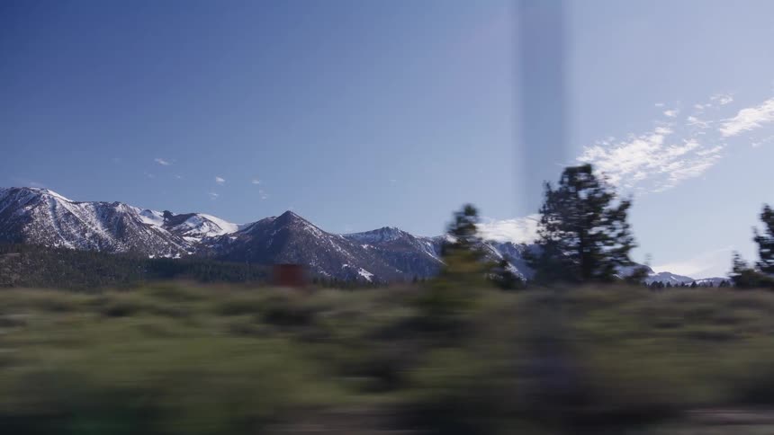 Driving shot past a vast pine forest with a majestic snow-capped mountain range under a clear blue sky