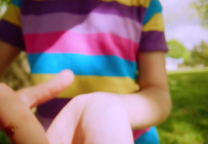 Close-up of a child's hands as a ladybug crawls from their wrist to their finger in a sunny park