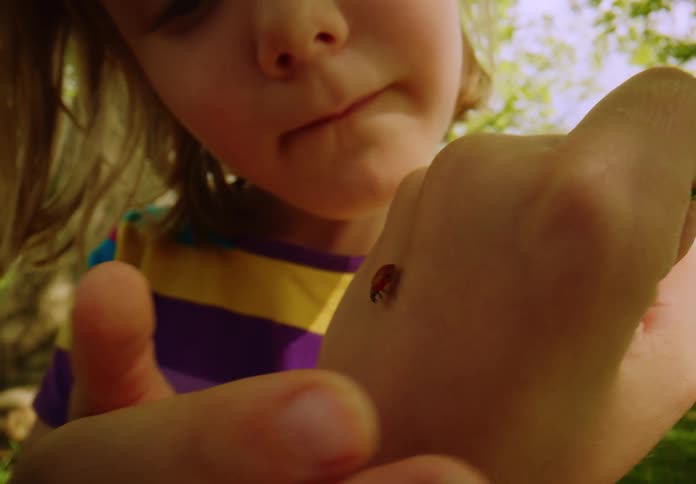 A curious young girl watches intently as a ladybug crawls from a finger onto her hand in a sunlit park