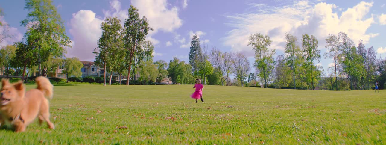 A joyful toddler in a vibrant pink dress and her playful puppy run in slow motion through a sunlit grassy field