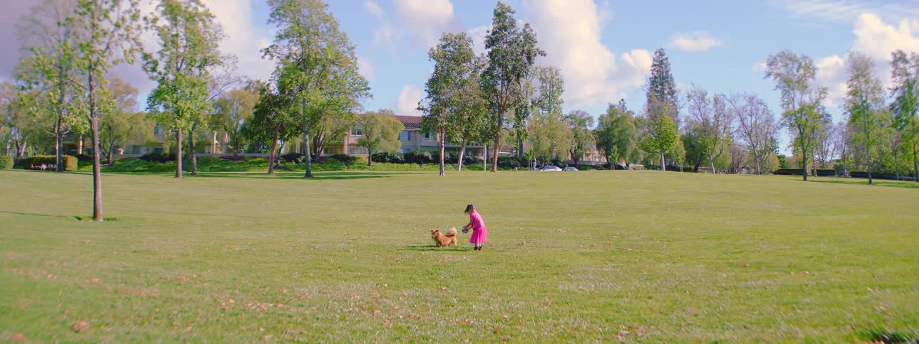 A little girl in a vibrant pink dress and her small fluffy dog play together in a vast green park on a sunny day