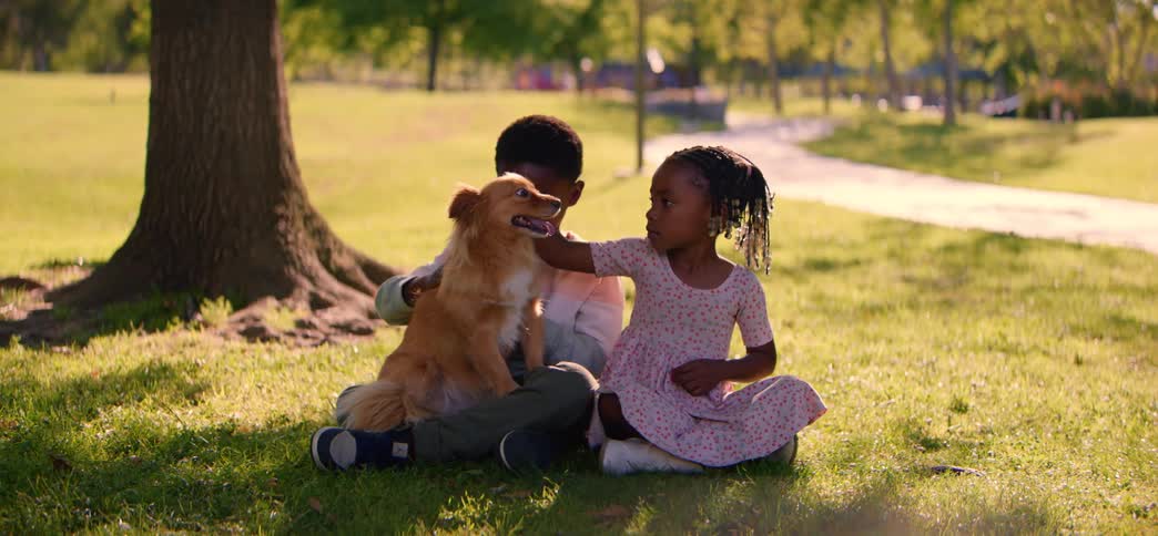 A loving brother and sister sit together in a sunny park, affectionately petting their happy, fluffy dog