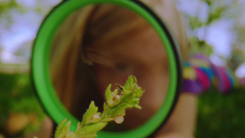 A curious little girl lies in the grass and examines the details of a small plant through a green magnifying glass