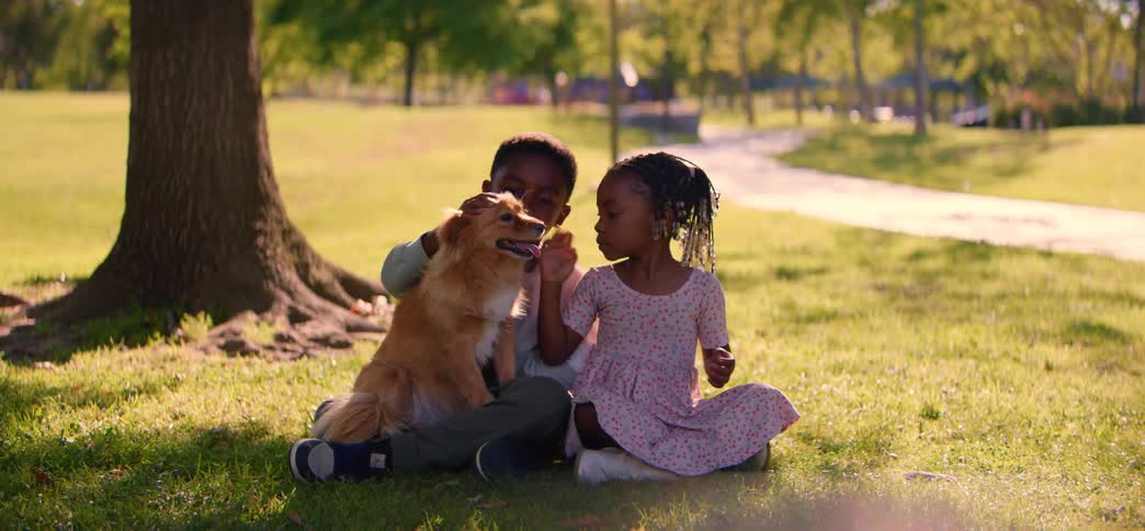 An African American brother and sister share a tender moment with their beloved dog in a sunlit park