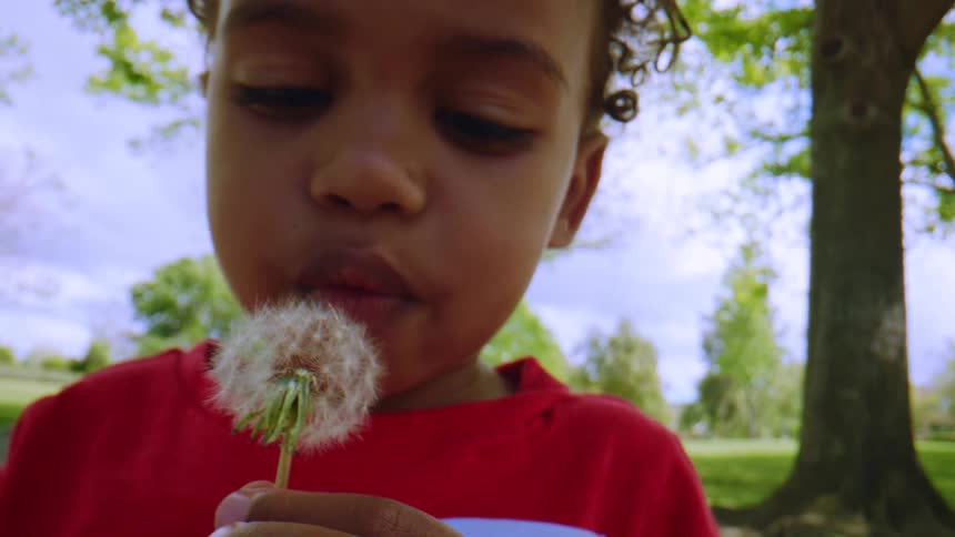 A slow-motion, close-up shot reveals a young child holding a delicate dandelion puff, ready to make a wish in a sunny park
