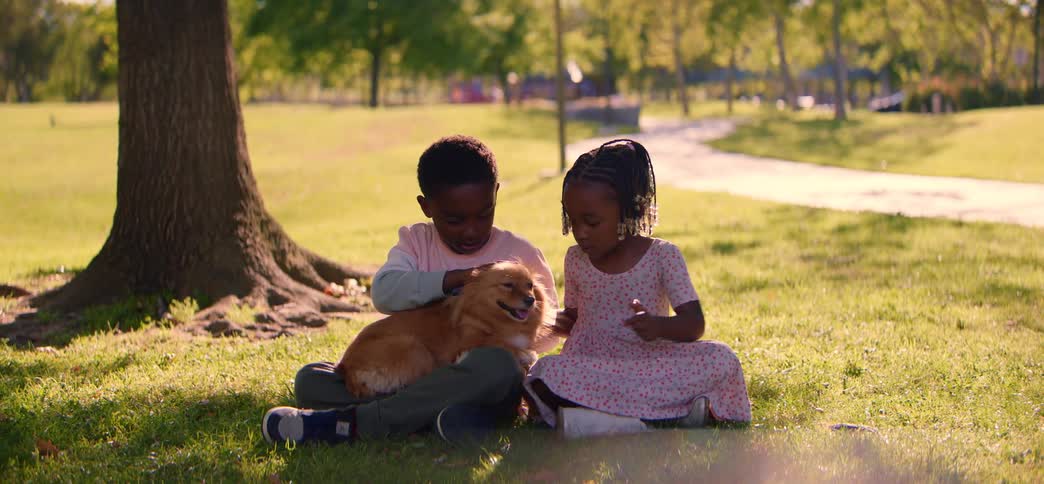 A sweet young boy and girl sit together on the grass in a sunny park, lovingly petting their small, fluffy dog