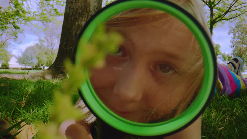 A curious young girl lies in the grass and examines a small plant through a magnifying glass in a park