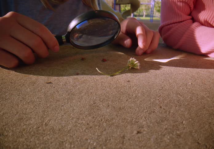 Two curious children use a magnifying glass to examine ladybugs and a clover flower at a park playground