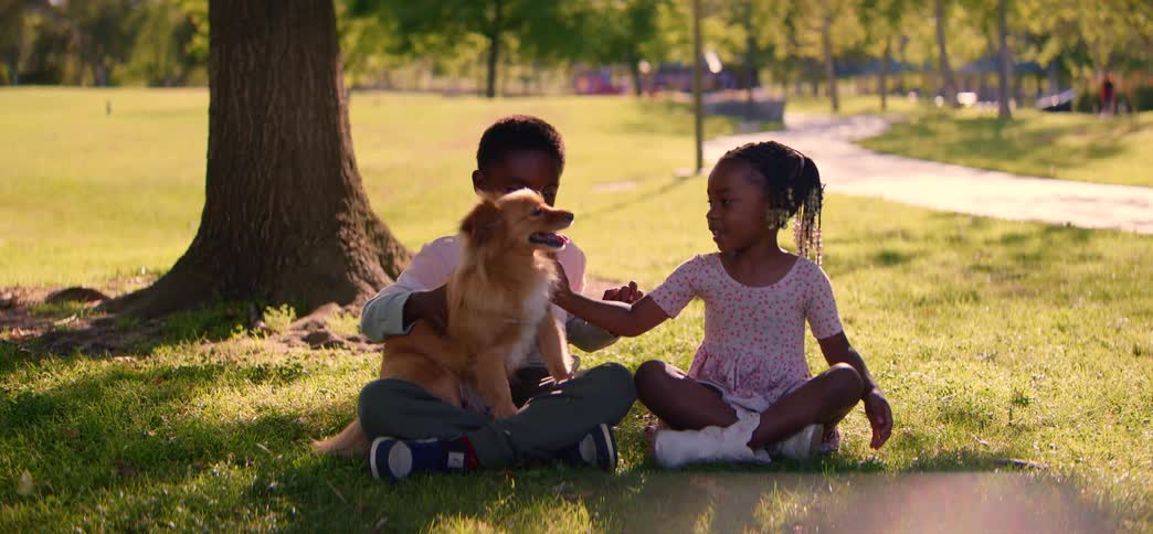 Cute African American siblings sit together on the grass and pet their adorable fluffy dog in a beautiful park on a sunny day