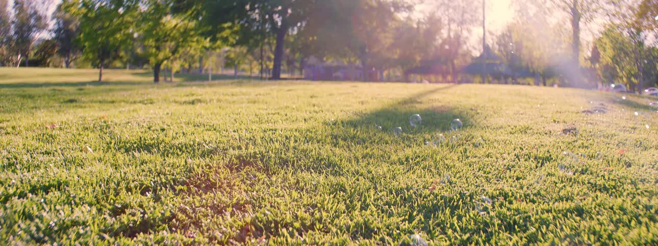 A close-up slow-motion shot captures whimsical soap bubbles floating over a green park lawn at sunset