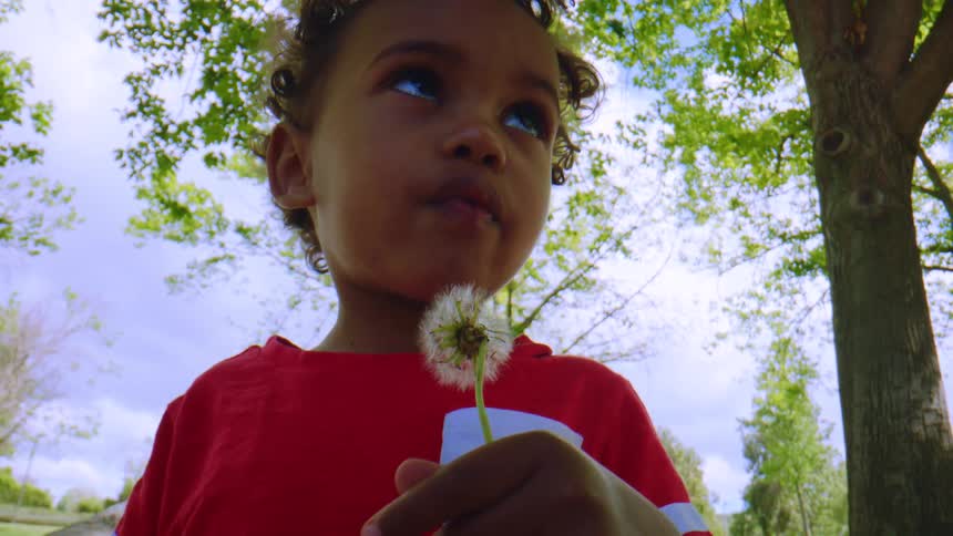 A curious young child with curly hair holds a dandelion seed head and gazes at the sky in slow motion