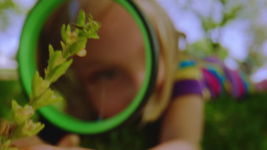 A curious young girl lies on the grass and examines a small green plant with a magnifying glass