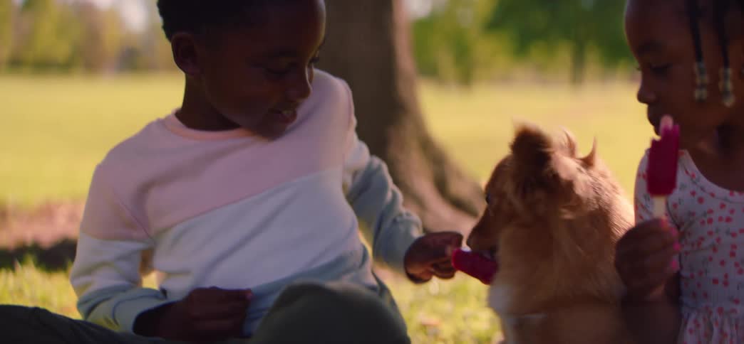 Smiling brother and sister share their pink popsicles with an adorable fluffy dog while sitting in a sunny park