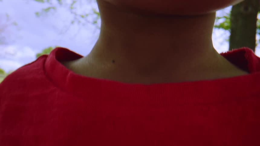 A curious ladybug crawls up a little girl's red shirt, leading to a reveal of her joyful smile outdoors