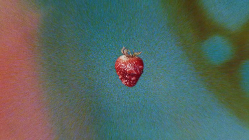 An artistic time-lapse captures the decay of a single strawberry against a vibrant and abstract background