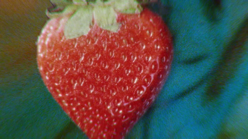 An abstract, psychedelic macro montage of a strawberry freezing and thawing with vibrant color shifts