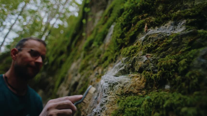 A determined rock climber meticulously prepares his route by cleaning a mossy hold with a specialized brush