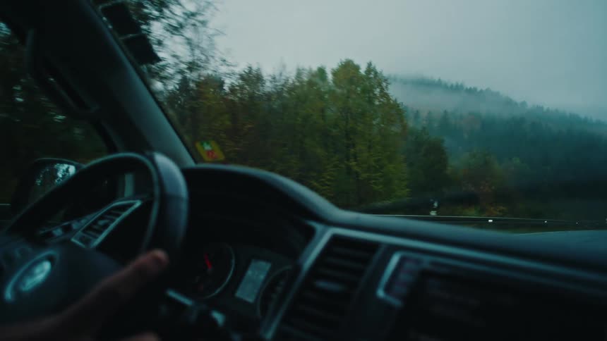 Interior view from a car driving through a moody, foggy forest on a rainy day