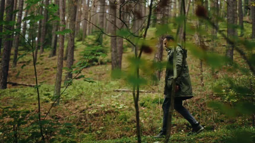 A man in a green jacket walks through a beautiful and lush pine forest in slow motion