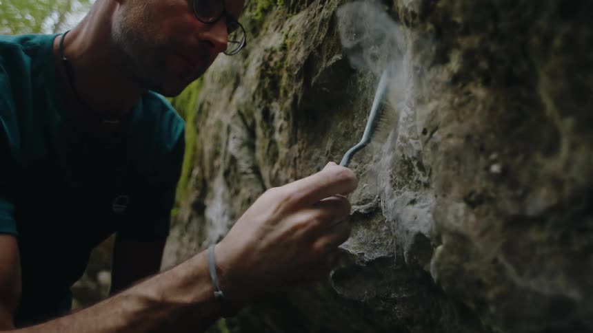 A male rock climber meticulously cleans a mossy boulder with a brush in a forest in slow motion