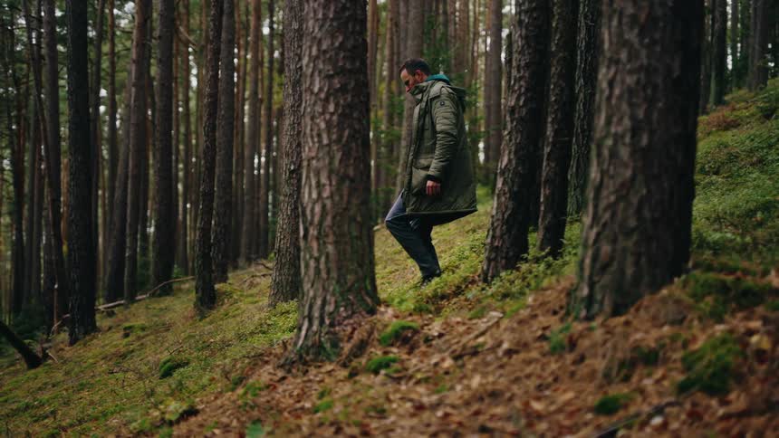 A lone man in a green jacket walks slowly and thoughtfully up a mossy hill deep within a pine forest