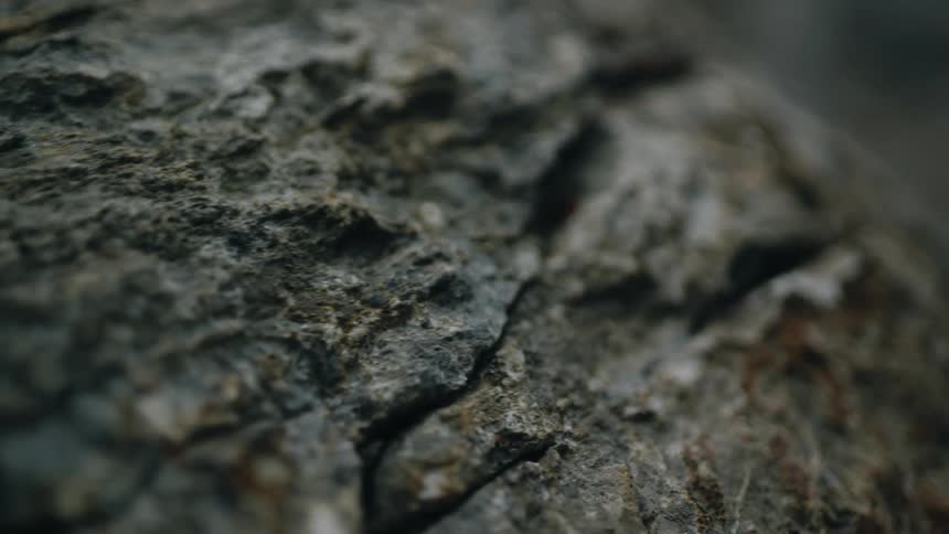 An extreme close-up dolly shot explores the abstract patterns and textures of a natural rock formation