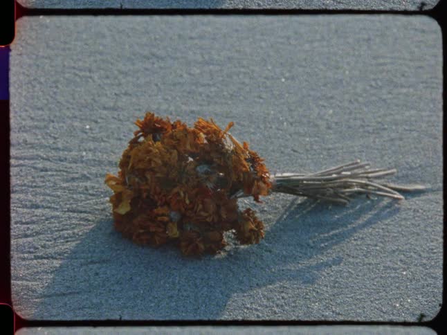 A vintage film shot captures a close-up of a withered bouquet of orange flowers lying on the sand