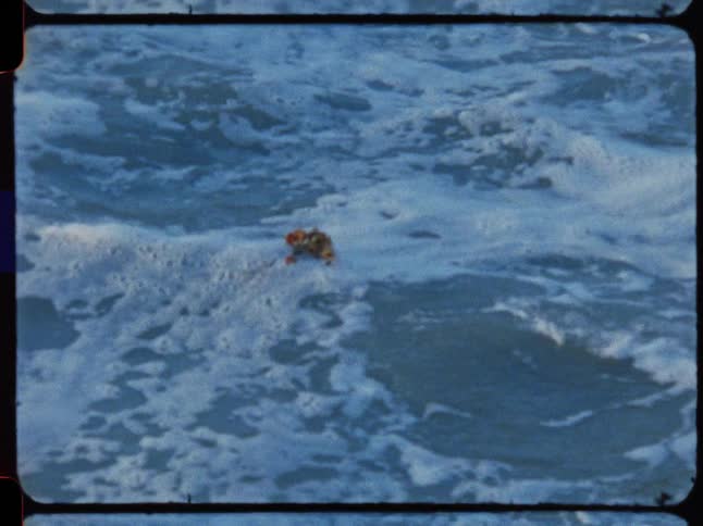 Vintage slow-motion footage of a piece of seaweed floating in the foamy ocean as a wave crashes over it