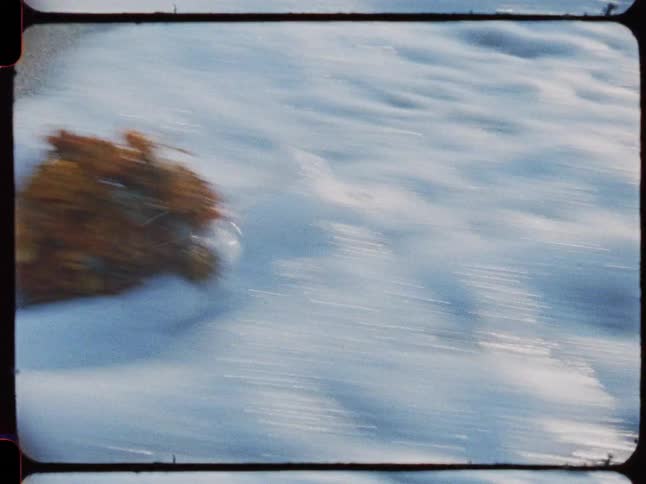Vintage Super 8 film captures a bouquet of dried flowers being swept away by the ocean tide on a sandy beach
