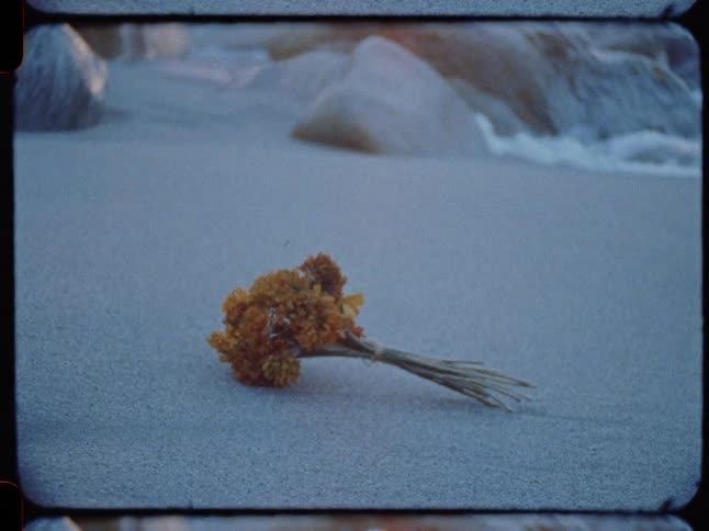 A bouquet of dried orange flowers rests on the sand as ocean waves gently lap the shore in this vintage 8mm film shot