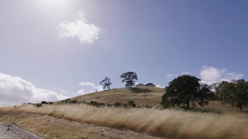 A smooth tracking shot from a moving car captures the golden, grassy hills and oak trees of the countryside on a sunny day