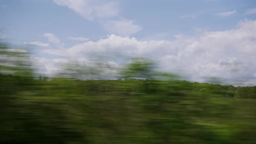 Driving past a tranquil countryside landscape featuring a lush green field and dense forest on a beautiful day