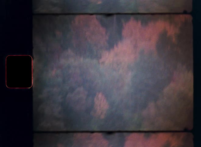 An abstract Super 8mm film overlay featuring a blurry autumn forest with vintage film grain, light leaks, and frame damage