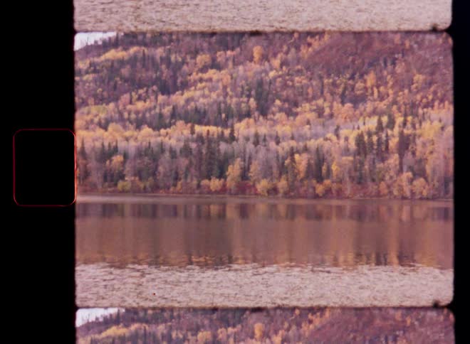 Vintage film scan of a serene lake reflecting a forest with beautiful autumn foliage
