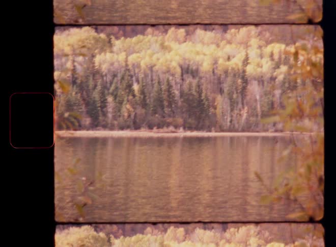 A peaceful, multi-frame view of an autumn forest reflected in a tranquil lake on vintage film