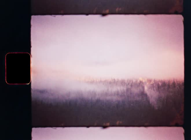 Dreamy vintage 8mm film captures a hazy, pink-hued forest landscape enveloped in soft fog