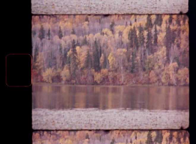 A vintage film scan shows a serene view of a tranquil lake reflecting the beautiful golden and red hues of an autumn forest