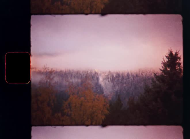 Vintage 8mm film captures a dreamy, misty forest landscape with colorful autumn trees