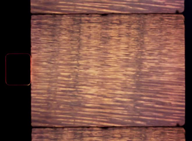 An abstract close-up shot on vintage film reveals shimmering tree reflections on a calm water surface