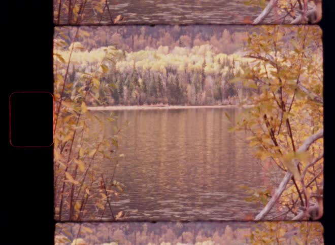 A nostalgic, split-screen, vintage film shot captures a serene lake surrounded by a vibrant autumn forest